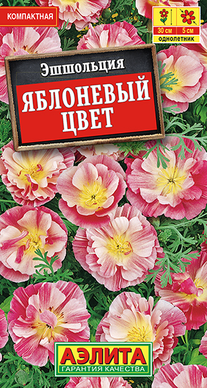 ��������� ��������� ����