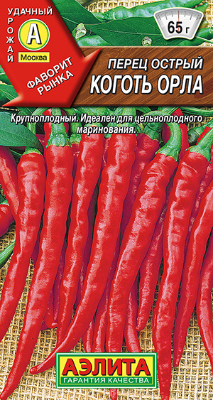 ����� ������ ������ ����