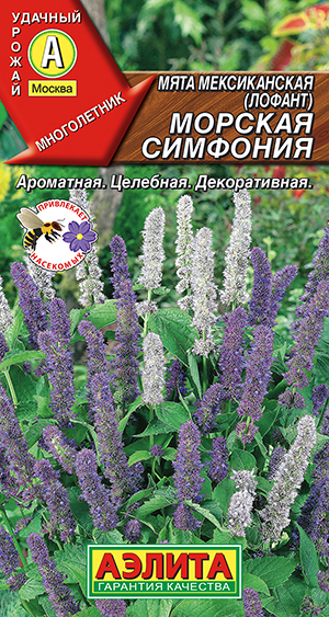 ���� ������������ ������� ��������