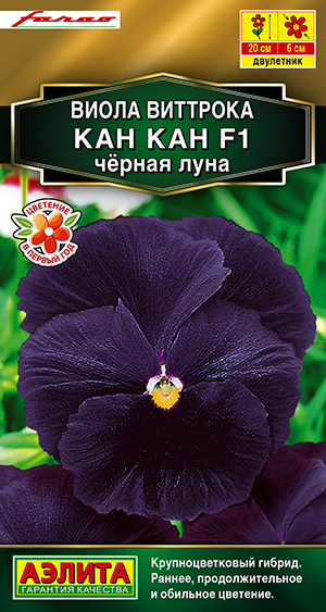 ����� ��� ��� F1 ������ ����