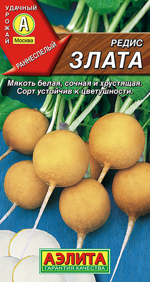 Редис Злата Редис Злата