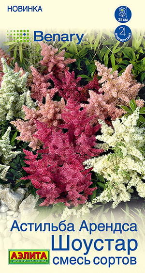 Астильба Шоустар, смесь сортов Астильба Шоустар, смесь сортов
