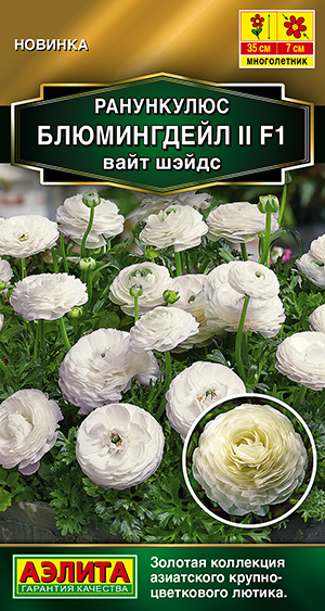 Ранункулюс Блюмингдейл II F1 вайт шэйдс Ранункулюс Блюмингдейл II F1 вайт шэйдс