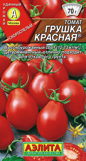 ����� ������ �������