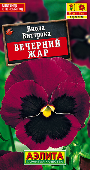 Виола Вечерний жар Виола Вечерний жар