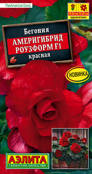 Бегония Америгибрид Роузформ F1 красная Бегония Америгибрид Роузформ F1 красная