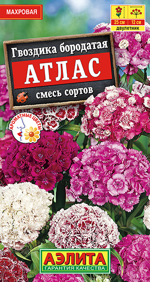 �������� ����� �������� ��������, ����� ������