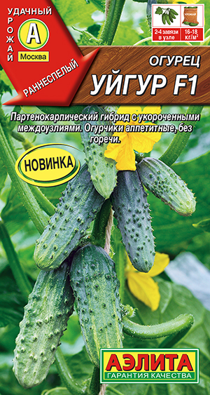 ������ ����� F1