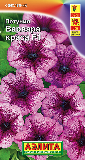 Петуния Варвара Краса F1 многоцветковая Петуния Варвара Краса F1 многоцветковая