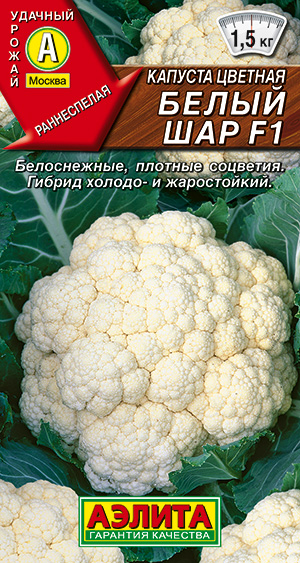 Капуста цветная Белый шар F1 Капуста цветная Белый шар F1