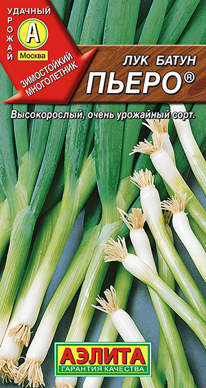 Лук батун Пьеро ® Лук батун Пьеро ®