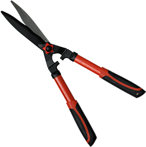 �������� 10", ��������� ������,��������� ������������ �����