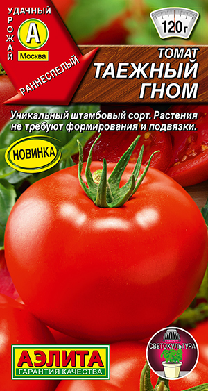 Томат Таёжный гном