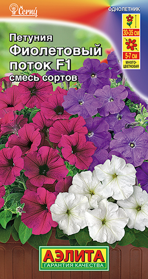 Петуния Фиолетовый поток F1 многоцветковая, смесь сортов Петуния Фиолетовый поток F1 многоцветковая, смесь сортов