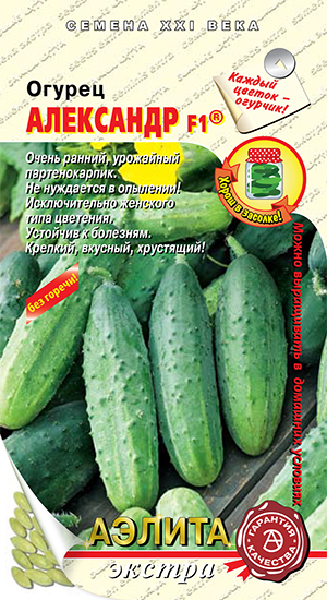 Огурец Александр F1 Огурец Александр F1