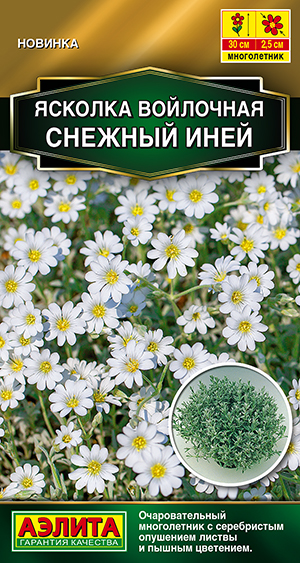 Ясколка Снежный иней Ясколка Снежный иней