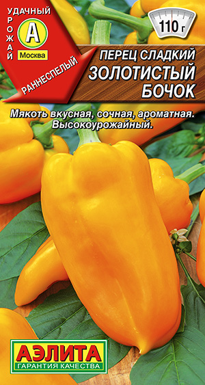 ����� ������� ���������� �����