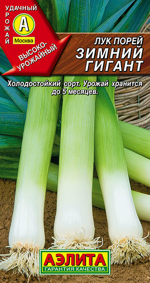 Лук порей Зимний гигант Лук порей Зимний гигант