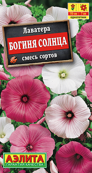 Лаватера Богиня солнца, смесь сортов Лаватера Богиня солнца, смесь сортов