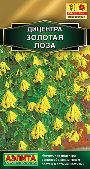 �������� ������� ����