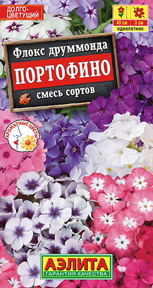 Флокс Портофино, смесь сортов Флокс Портофино, смесь сортов