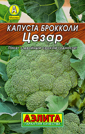 ������� �������� �����