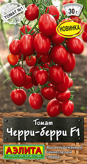 ����� �����-����� F1