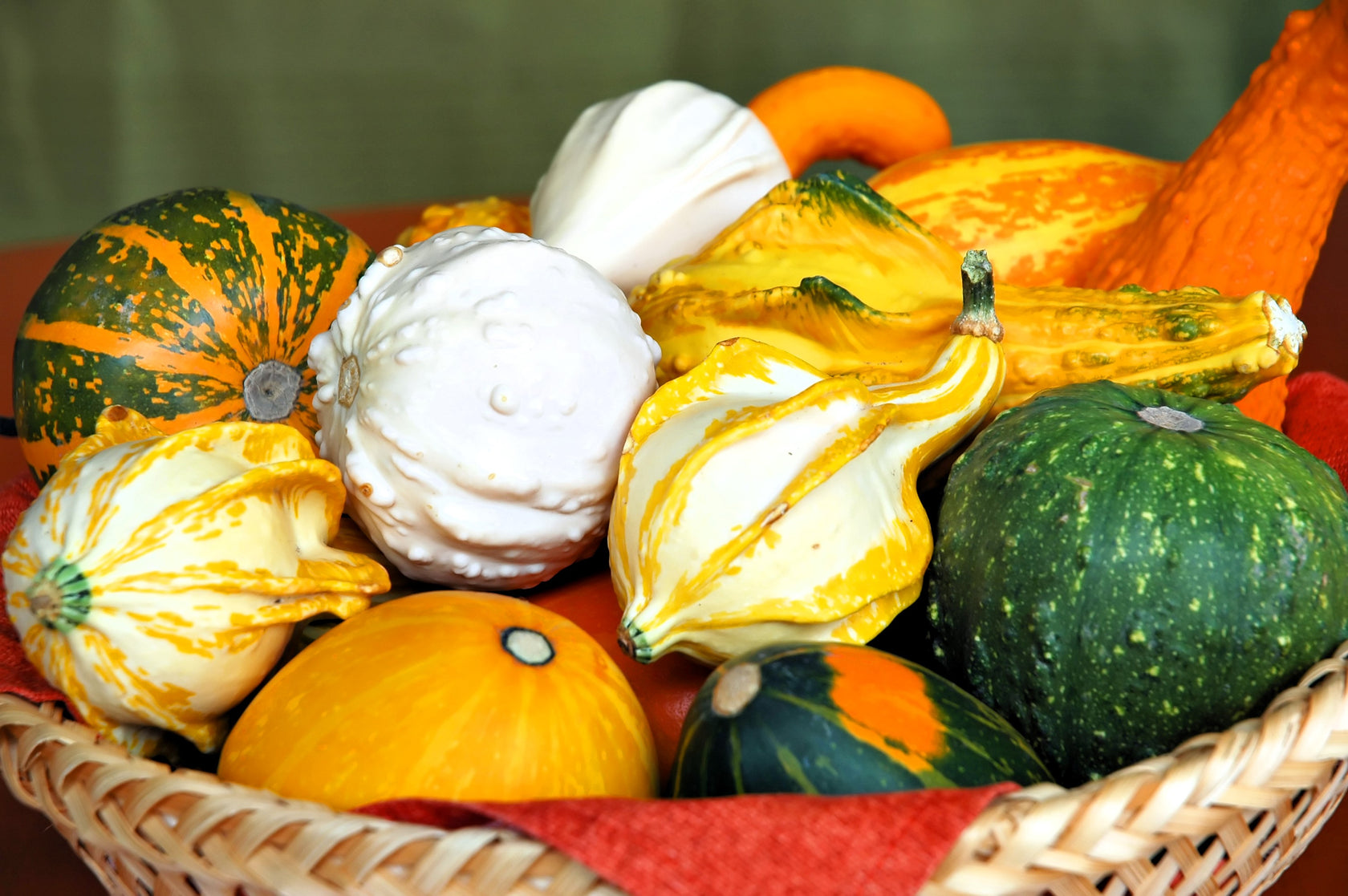 ����� ������������ ������������, ����� ����� � �������