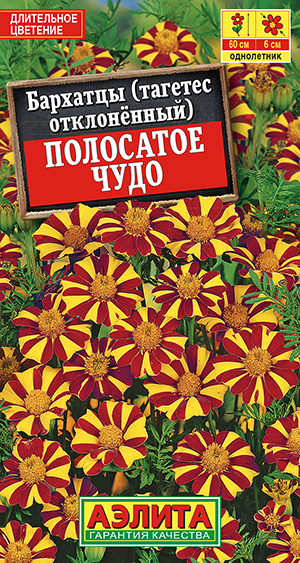 �������� ��������� ���� �����������