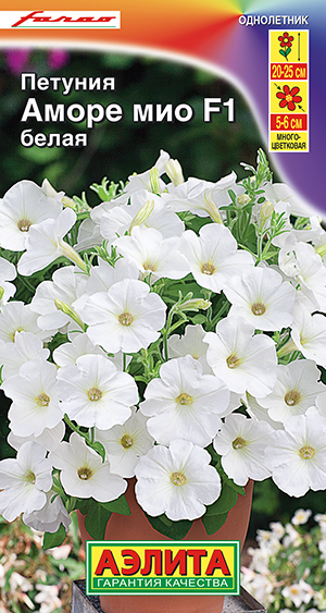 Петуния Аморе Мио белая F1 Петуния Аморе Мио белая F1