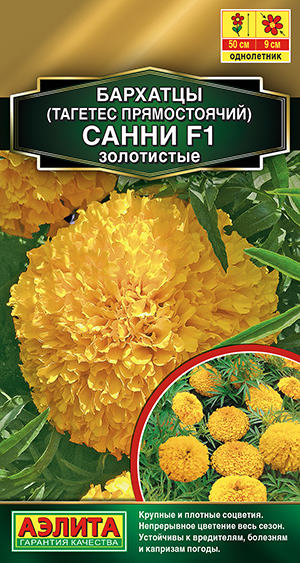 �������� ����� F1 ���������� ������������