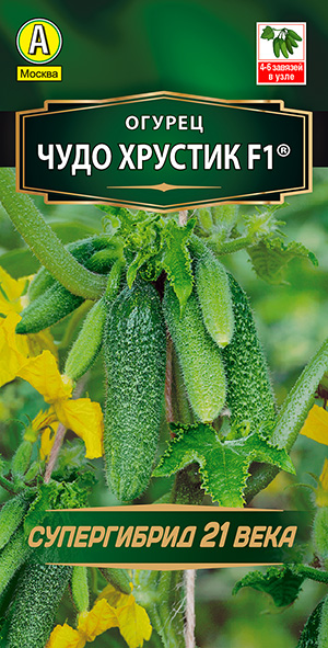 Огурец Чудо хрустик F1 ® Огурец Чудо хрустик F1 ®