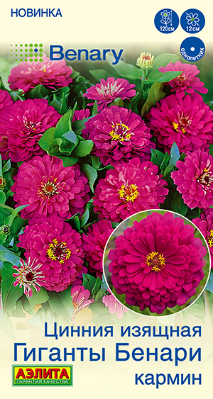 Цинния Гиганты Бенари кармин Цинния Гиганты Бенари кармин
