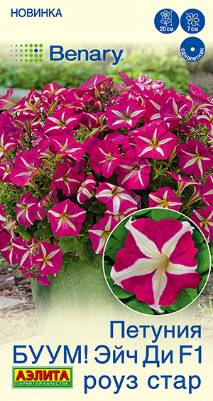 Петуния БУУМ! Эйч Ди F1 Роуз Стар многоцветковая Петуния БУУМ! Эйч Ди F1 Роуз Стар многоцветковая