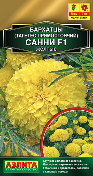 �������� ����� F1 ������ ������������