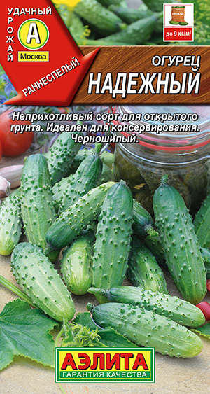 ������ ��������