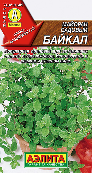 Майоран садовый Байкал Майоран садовый Байкал