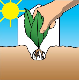 10-20.V  - ����