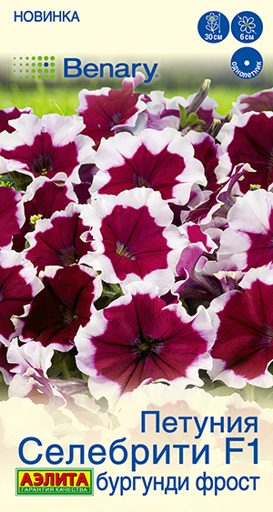 Петуния Селебрити F1 бургунди фрост многоцветковая Петуния Селебрити F1 бургунди фрост многоцветковая