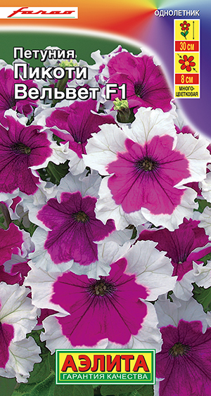Петуния Пикоти Вельвет F1 многоцветковая Петуния Пикоти Вельвет F1 многоцветковая