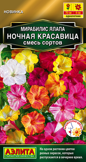 Мирабилис Ночная красавица, смесь сортов Мирабилис Ночная красавица, смесь сортов