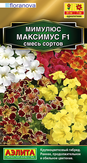 Мимулюс гибридный Максимус F1, смесь сортов Мимулюс гибридный Максимус F1, смесь сортов