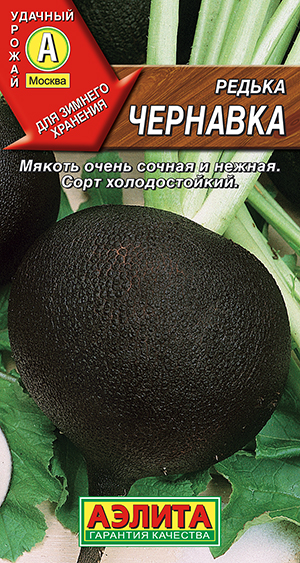 Редька Чернавка Редька Чернавка