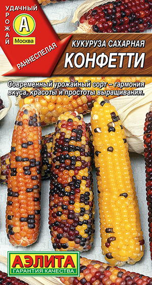 �������� �������� ��������