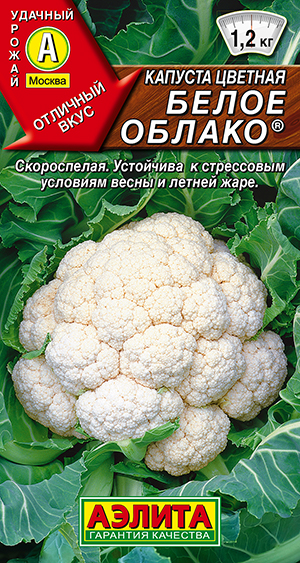 ������� ������� ����� ������