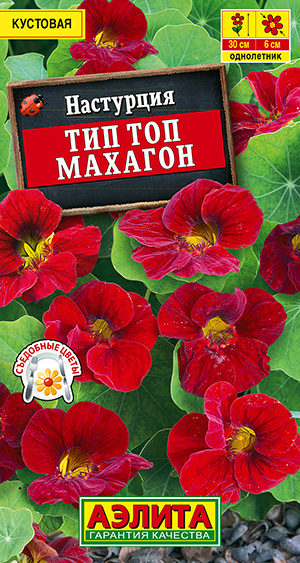 Настурция Тип топ махагон Настурция Тип топ махагон