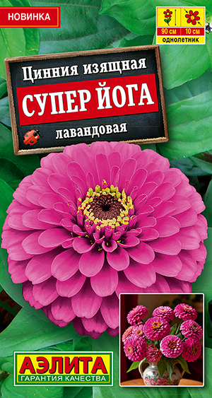 Цинния Супер йога лавандовая Цинния Супер йога лавандовая