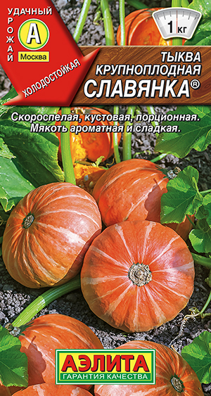 ����� ������������� ��������