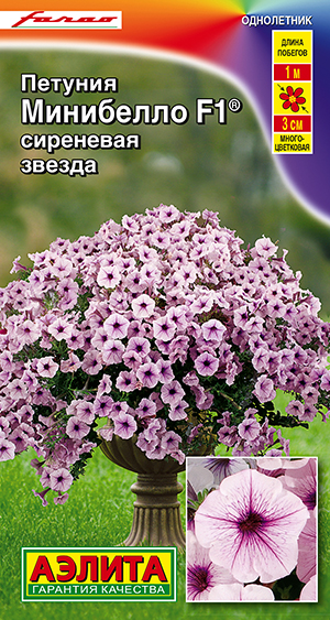Петуния мини Минибелло F1 сиреневая звезда многоцветковая Петуния мини Минибелло F1 сиреневая звезда многоцветковая