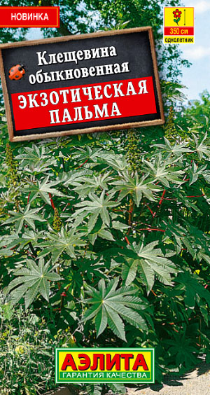 Клещевина Экзотическая пальма Клещевина Экзотическая пальма